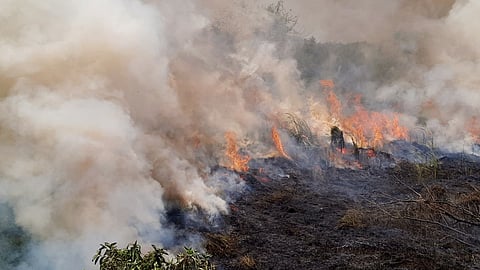Tamil Nadu: Bushfire in Tiruvaiyaru college, students suffocate