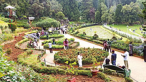 Representative image for Ooty park