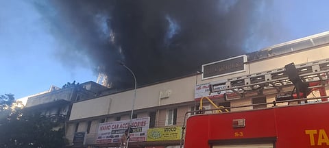 Visual from the site 