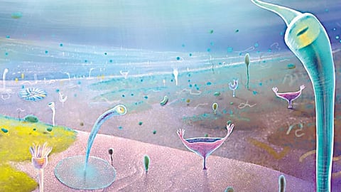 Human evolutionary roots traced back to enigmatic era