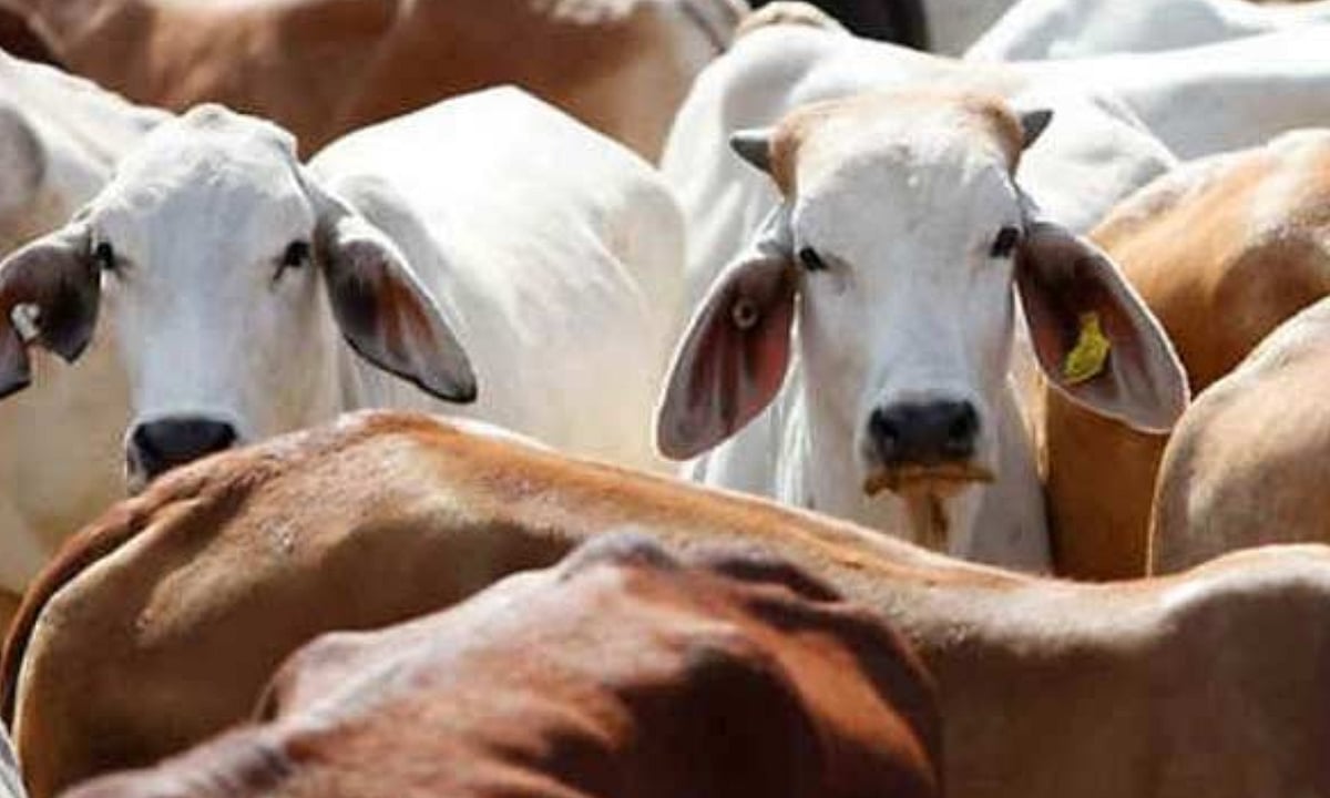 dtnext.in - Business - News Image