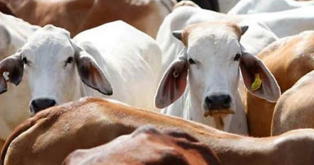 dtnext.in - Business - News Image