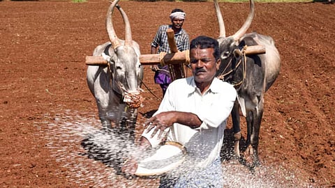 Cabinet approves Rs 41,534 cr P&K fertilizers subsidy for kharif 2026 season