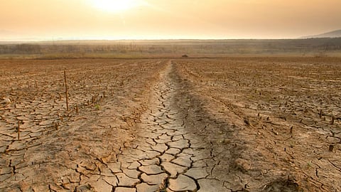 Climate impact: Droughts could accelerate spread of antibiotic resistance genes