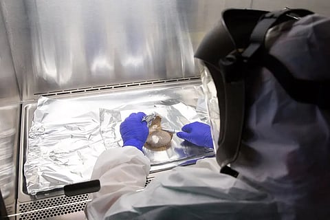 Genetic continuity: Nature is still moulding human genes, study finds