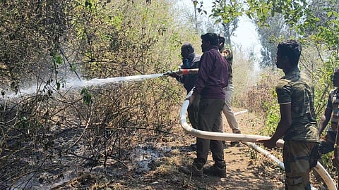 Firefighters battling to contain fast spreading fire in the Nilgiris on Sunday 