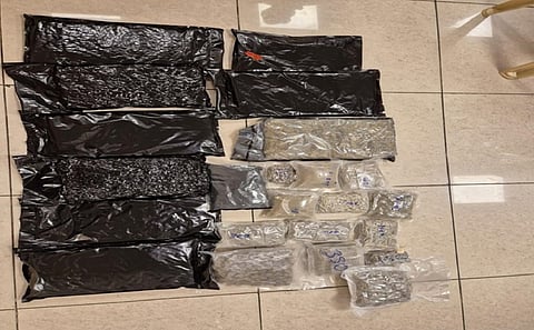  Chennai: Air Customs officials seize 10.7 kg of hydroponic ganja from Bangkok 
