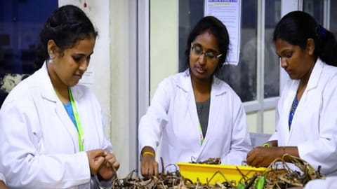 Ecologist Sushmita Krishnan and Tiruchy National College students demonstrate paper making from water hyacinth