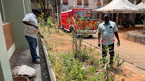 Snake-hunt ahead of May 4 vote counting in Puducherry