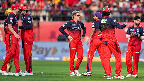 Royal Challengers Bengaluru's team celebrates after taking the wicket of Punjab Kings' Suryansh Shedge during the Indian Premier League (IPL) 2026 T20 cricket match between Punjab Kings and Royal Challengers Bengaluru, in Dharamshala, Himachal Pradesh, Sunday, May 17, 2026 