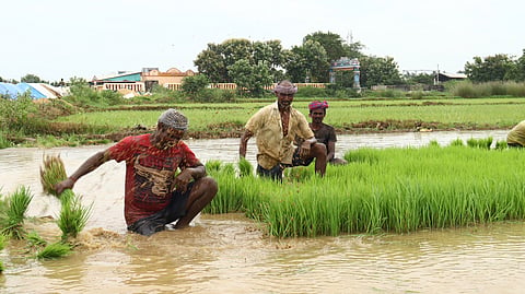 Image of farmers used for representative purpose