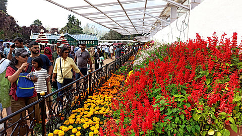 Flowershow-ooty 