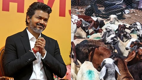 Chief Minister C Joseph Vijay extended greetings for Bakrid 