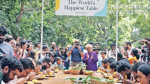 Hanu Reddy Mango Tourism at Hanu Reddy Raghava Farms in Othivakkam