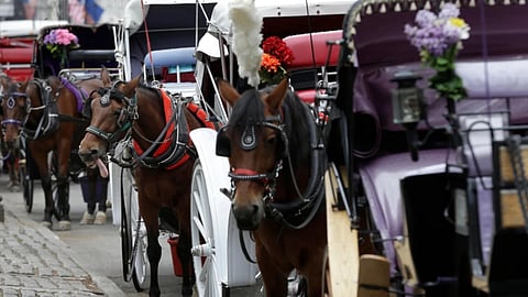 Horses and carriages wait for customers on Oct. 23, 2013, near Central Park in New York 