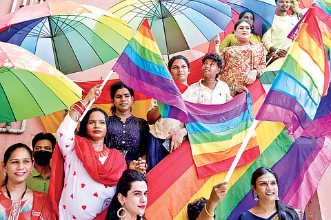 LGBTQIA+ 