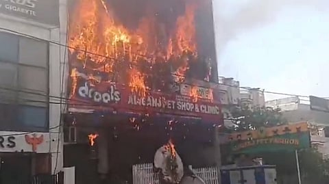 Screengrab from the videp