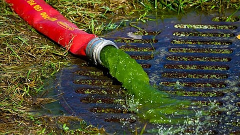 Green lagoon: Presidency distils Trump to his essence