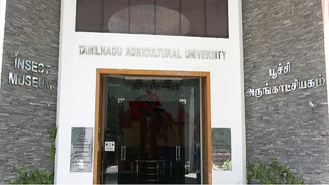 Insect Museum at Tamil Nadu Agricultural University