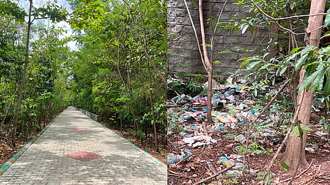 Miyawaki forest becomes a dumping ground for plastic waste, liquor bottles and household garbage