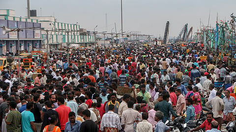 Kasimedu fish market