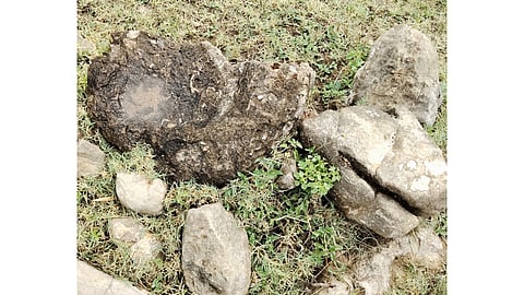 Rajadhiraja Chola relief sculpture found in Perambalur