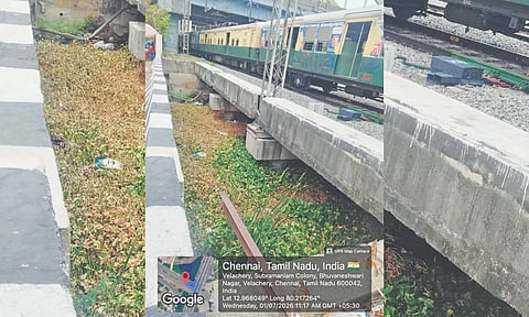 The stormwater channel under the MRTS track in Velachery covered by vegetation