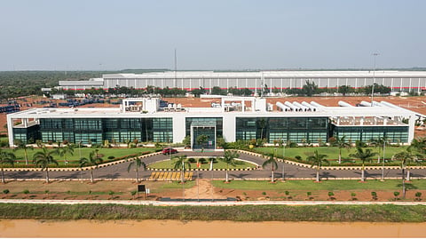Vayona Nellore Plant