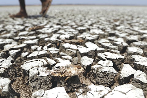 dry land
