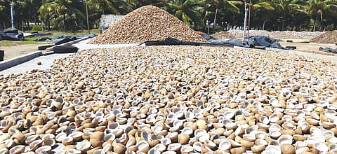 dried coconut