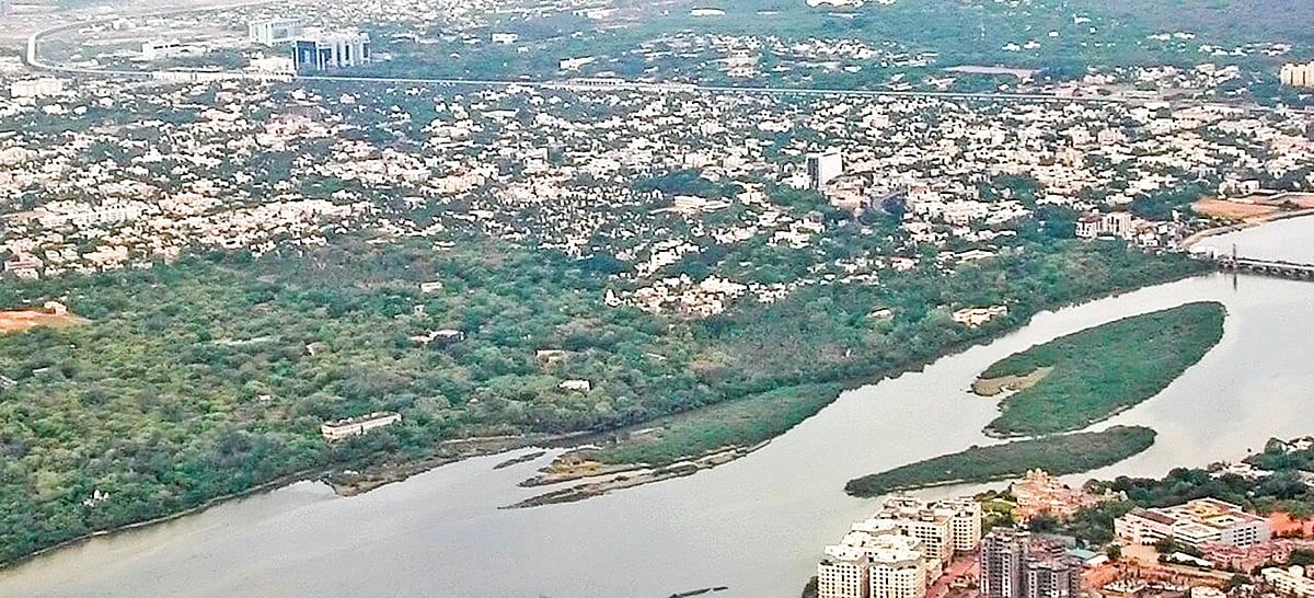 Wetlands fighting strong to protect TN from climate change, finds study