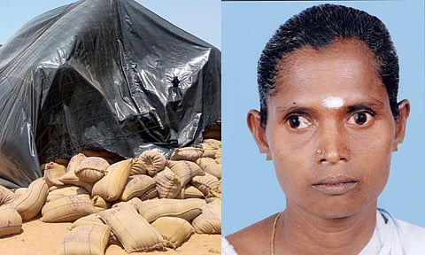 Collapsed paddy bags at open DPC in Thanjavur on Monday; Victim Chinnaponnu

