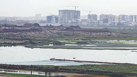 Pallikaranai Marsh