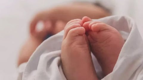 Madhya Pradesh woman delivers 4 babies in autorickshaw, all newborns die; kin blame lack of ambulance 