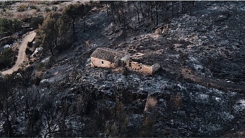 A view of a burnt area affected by wildfires in Bedar, near Almeria, Spain.