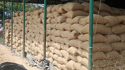 Paddy stocks lies piled up at a DPC at Ammapettai in Thanjavur

