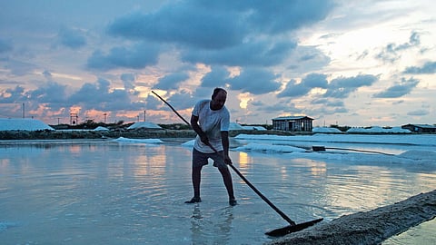 Worker working in a salt pan 