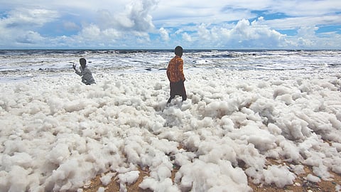 A file photo from last year shows discharge from Cooum floating as foam at Marina beach