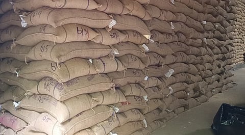  Damaged rice stocks at the agriculture-regulated market godown at Budalur in Thanjavur on Wednesday