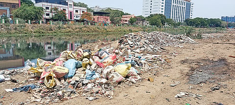 South Cooum River Road in Pudupet 2