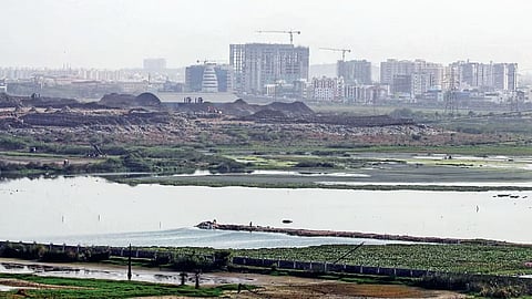 Pallikaranai Ramsar wetland 