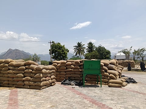paddy stock damaged in Virudhunagar