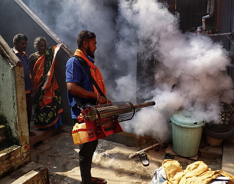 Amid a rise in dengue cases, the Tamil Nadu Health and Family Welfare Department has intensified surveillance across the State