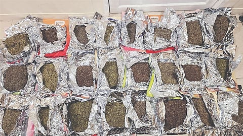 Parcels of hydroponic ganja seized at the city airport