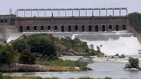 Cauvery water