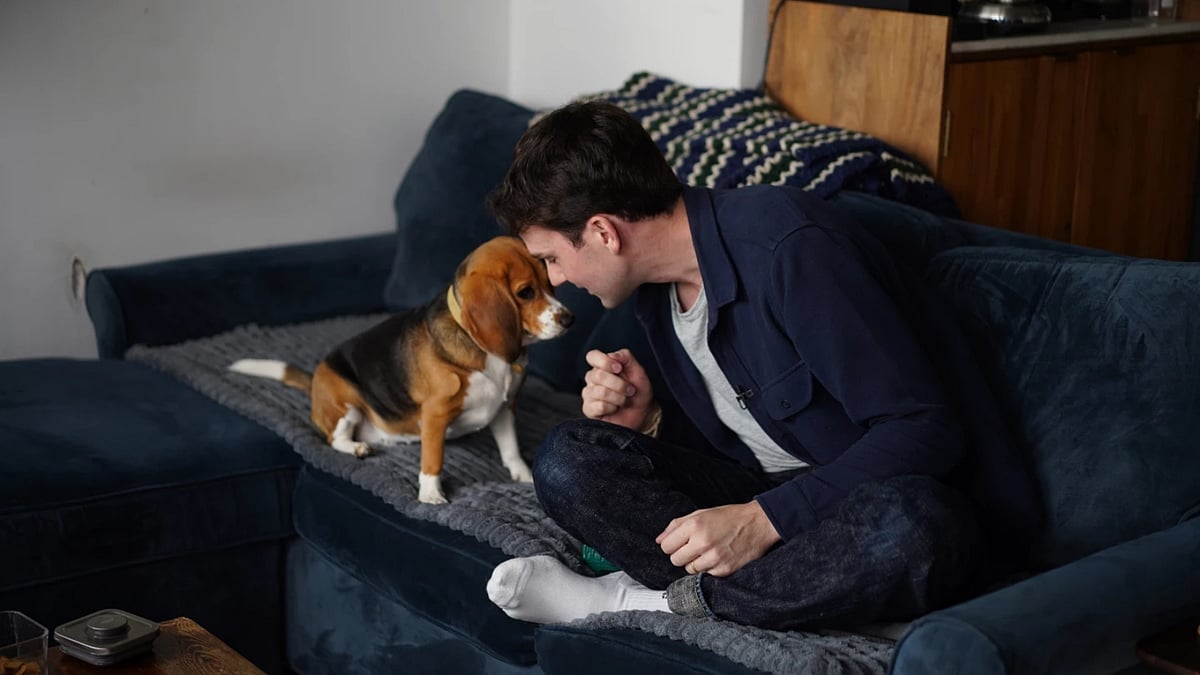 Future canines: Gene-edited hypoallergenic dogs offer hope for allergic pet lovers