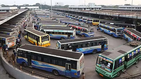 TN Buses 
