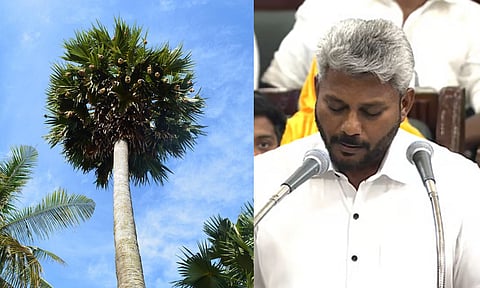 TN Budget 2026: Govt announces Palmyra Development Corporation at Rs 16 cr
