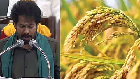 TN Agri Budget 2026: TVK govt to continue paddy seed subsidy with Rs 34.72 crore fund