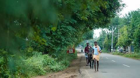 Trees in Madurai were tended by Vaigai Nathi Makkal Iyakkam activists.